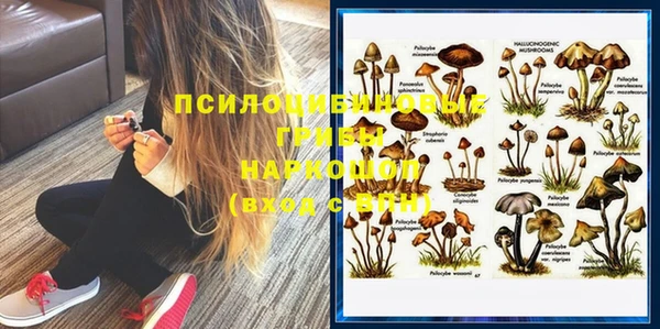 гашик Абинск