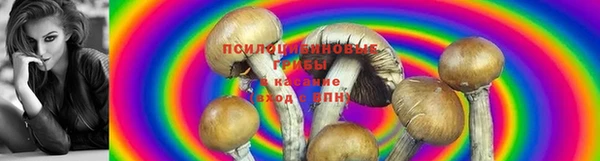 кокс Абаза