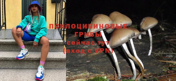 кокс Абаза