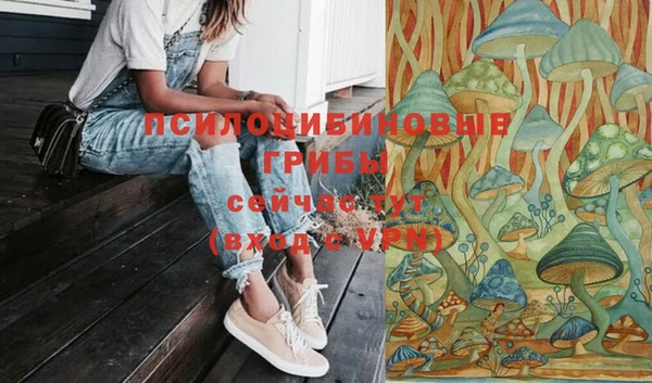 кокс Абаза