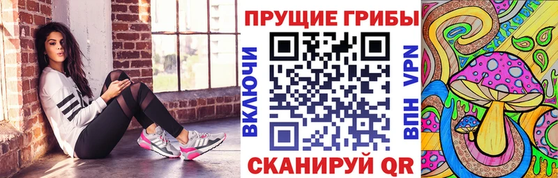 Галлюциногенные грибы Psilocybine cubensis  продажа наркотиков  Шилка 