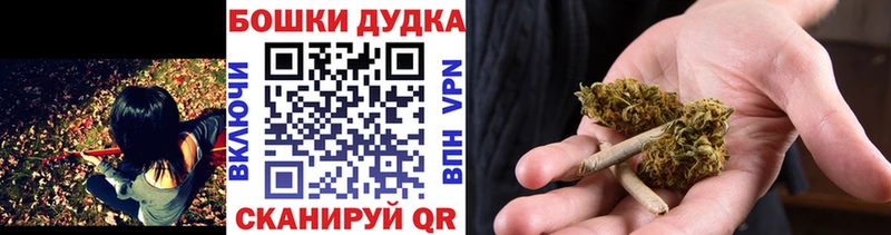 МАРИХУАНА планчик Шилка